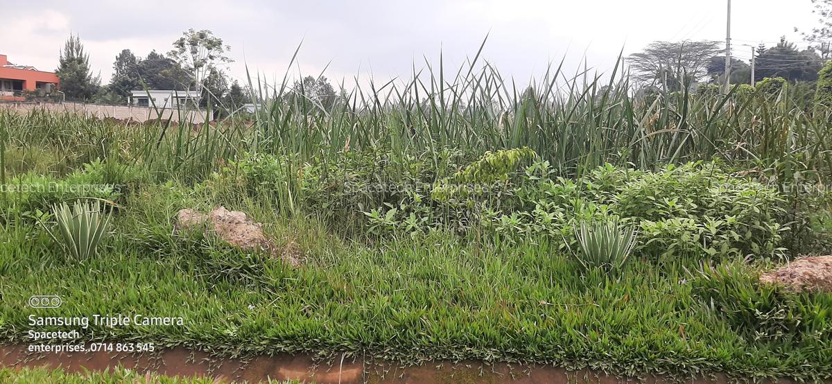 Land in Runda - 6