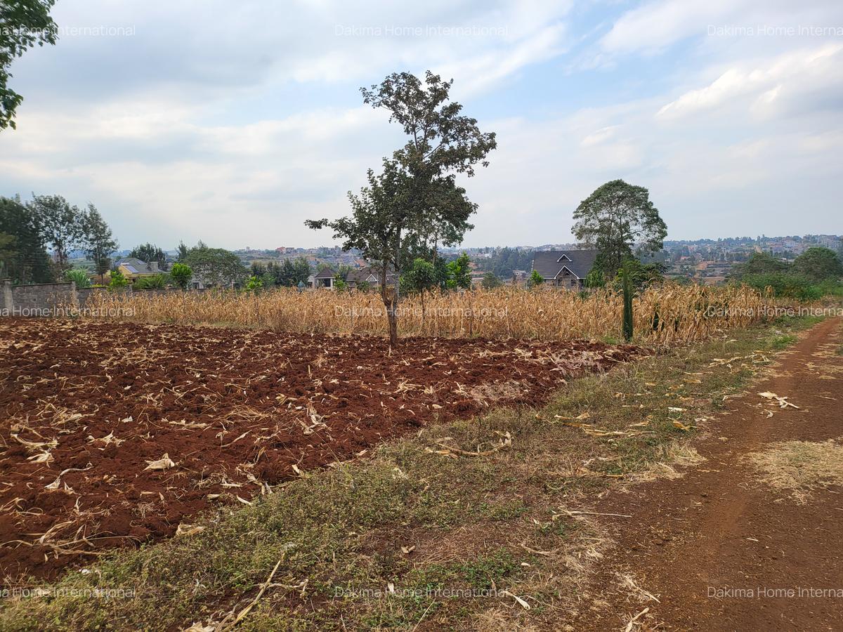 Residential Land in Ruiru - 8