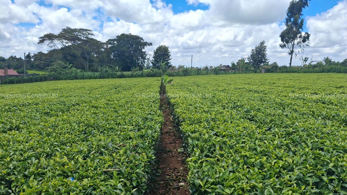 1 ac Residential Land at Limuru Girls High School - 6
