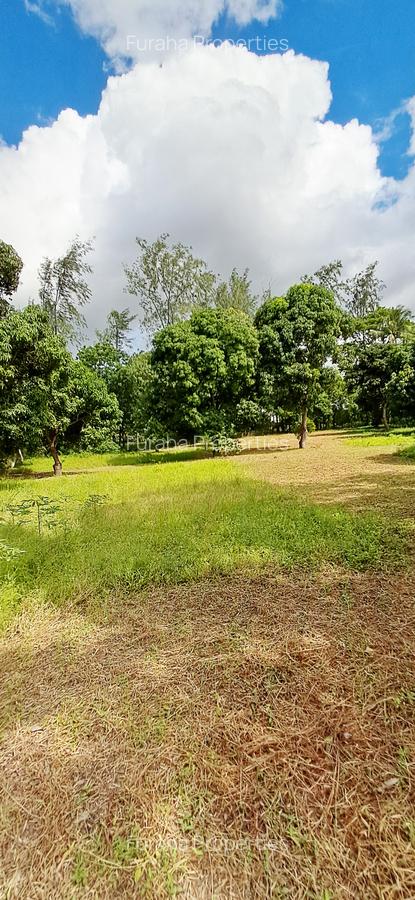 Land at Mtwapa - 8