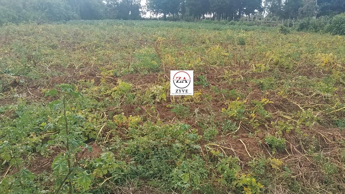 10 ac Land at Enabelbel - 1