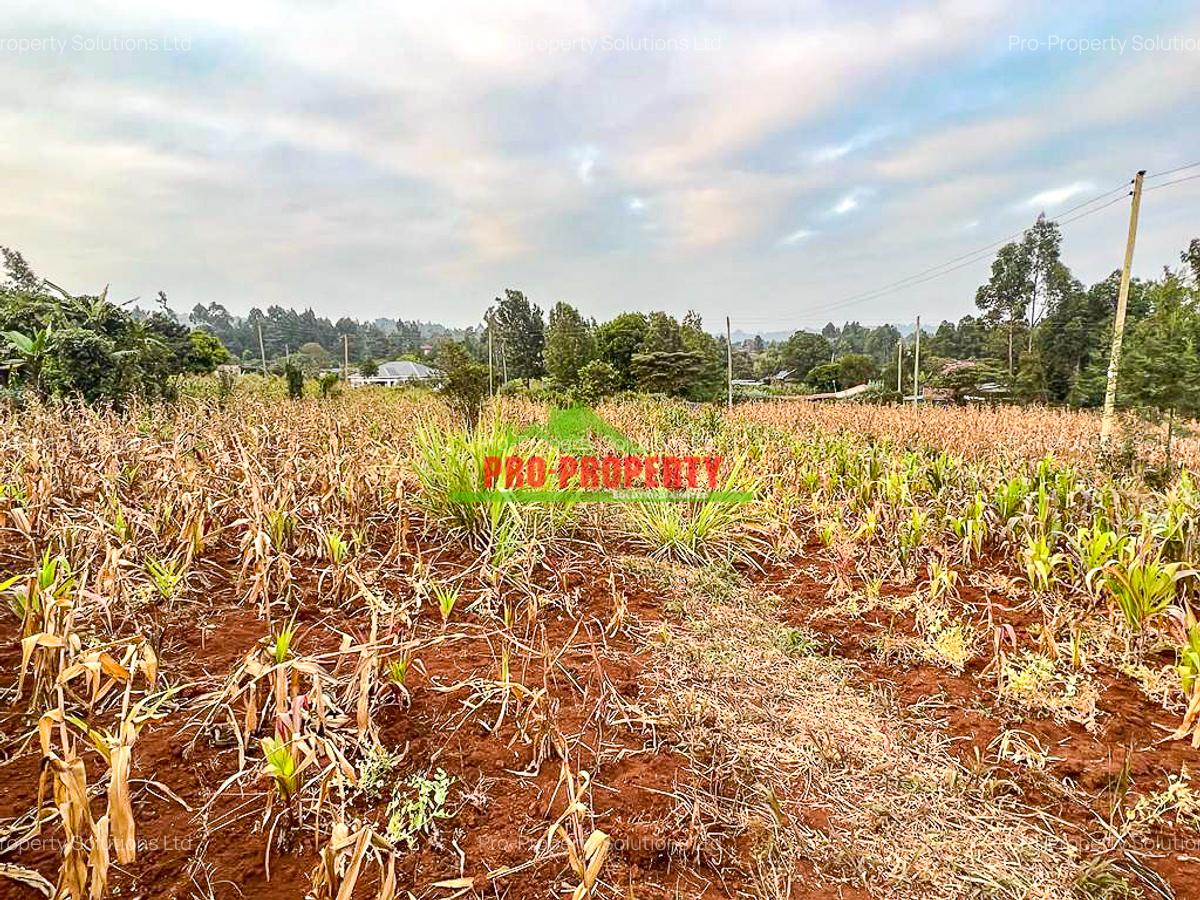 0.05 ha Residential Land in Kamangu - 9
