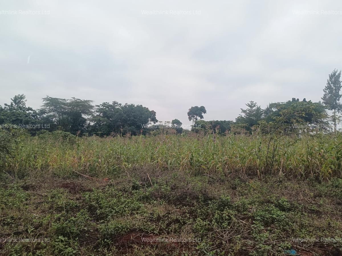 Residential Land at Kamiti Ridge - 6