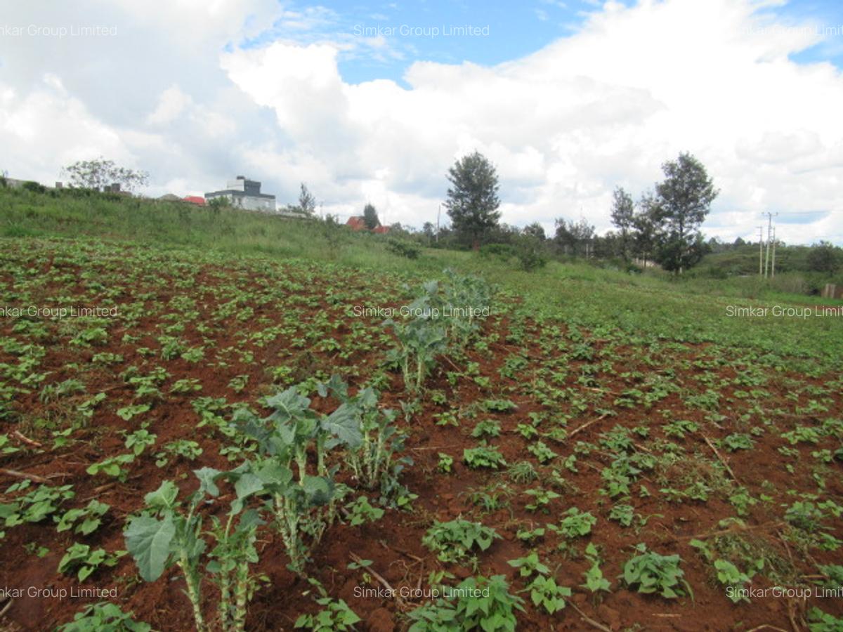 4.5 ac Land at Kibiko - 4