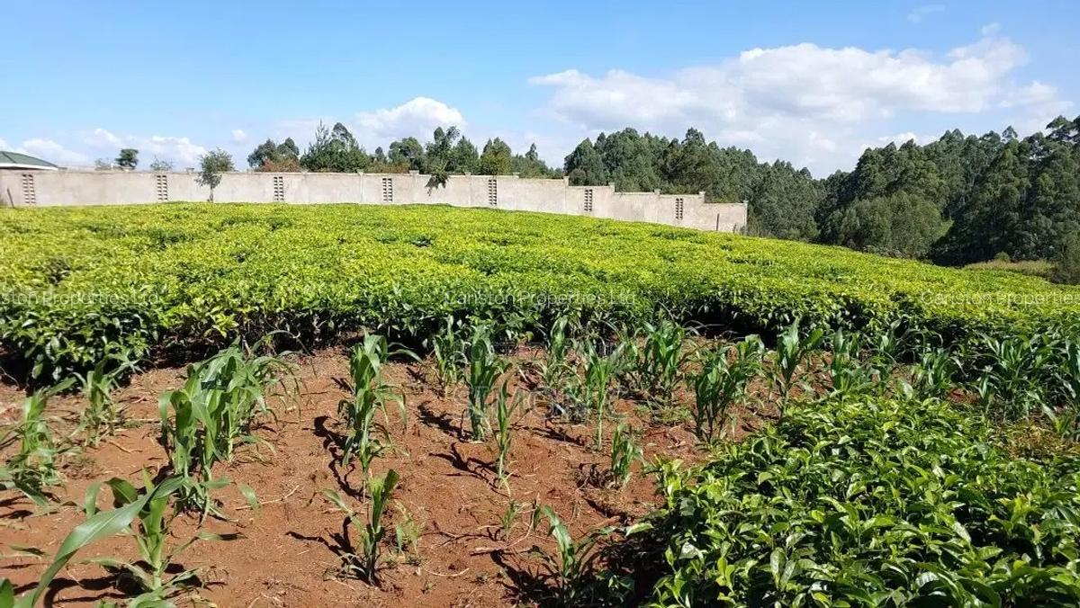 Residential Land in Githunguri - 2
