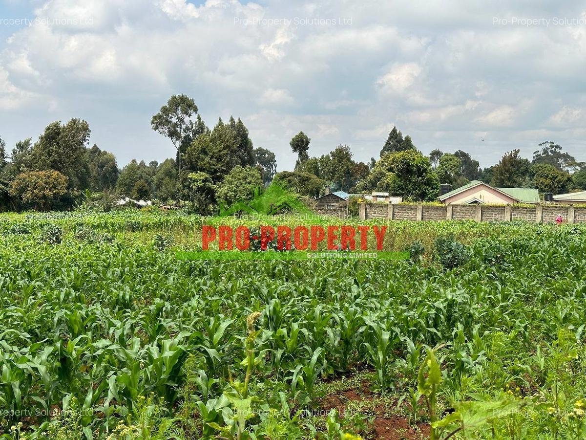 0.4 ha Land at Tilisi - 6