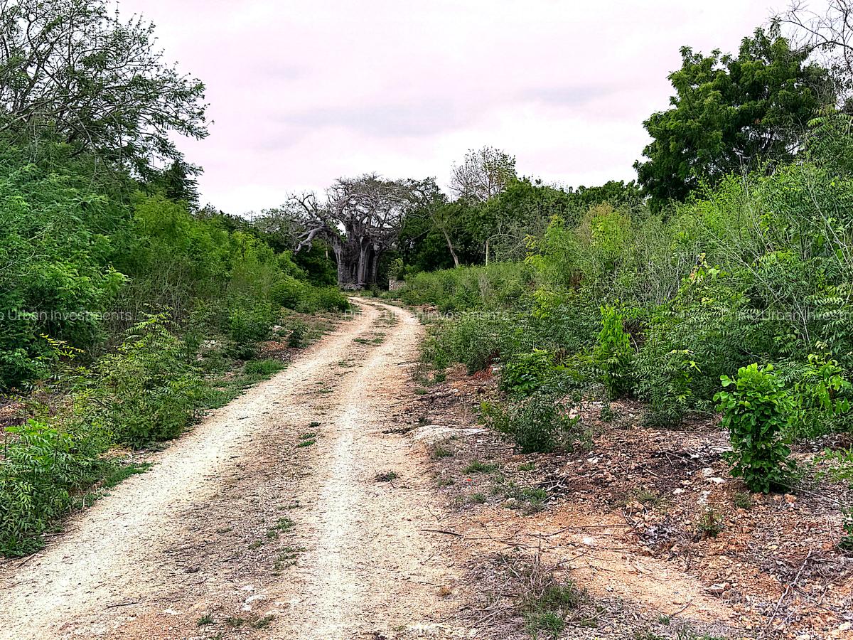10 ac Land at Kuruwitu Vipingo - 15