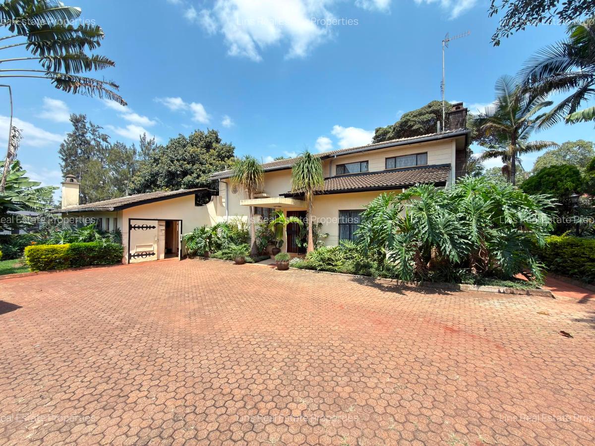 Commercial Property with Parking in Lavington - 4