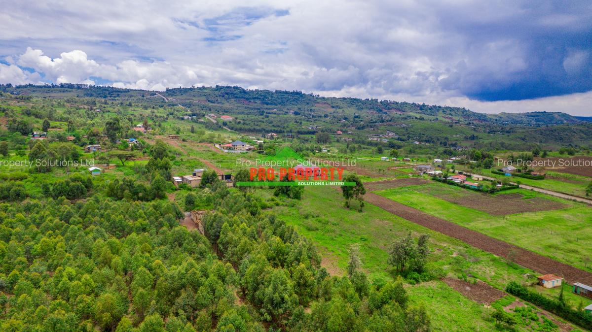 0.05 ha Residential Land at Nduiguine - 9