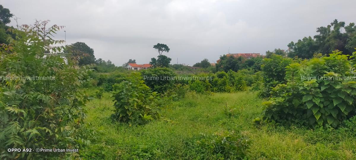 Land in Shanzu - 8