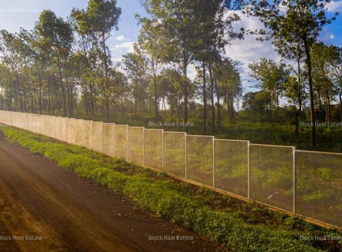 0.125 ac Land in Ruiru - 3