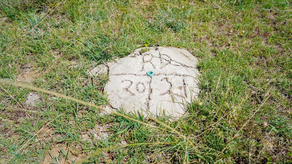 Residential Land in Naivasha - 5
