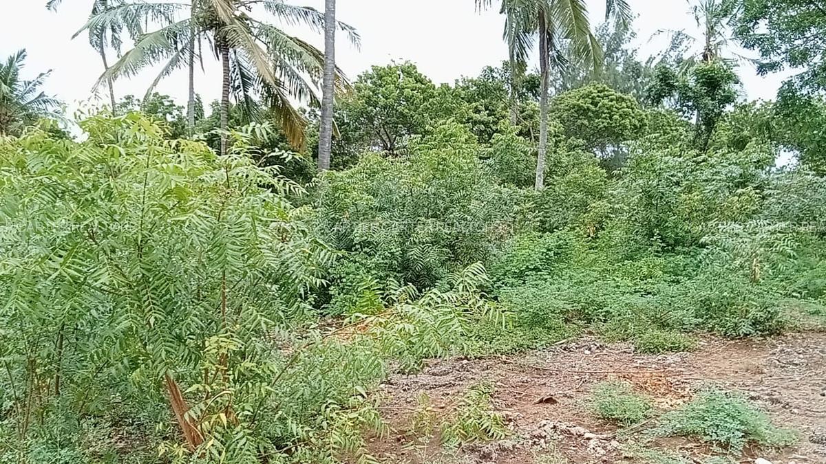 Land in Watamu - 1
