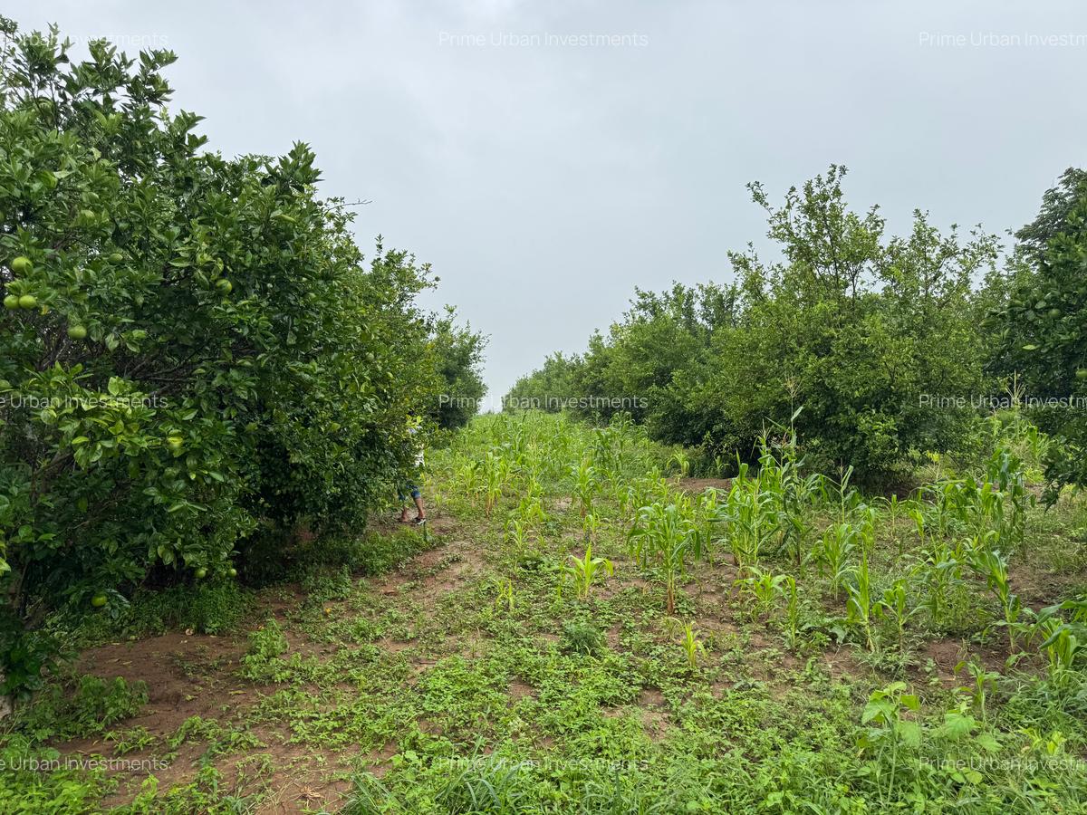 Land in Kilifi - 7