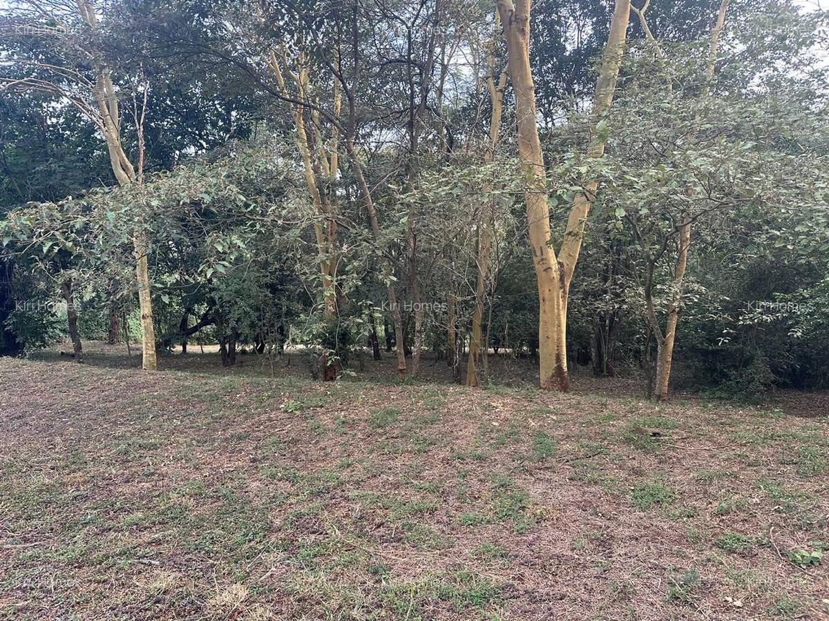 Land in Karen - 4