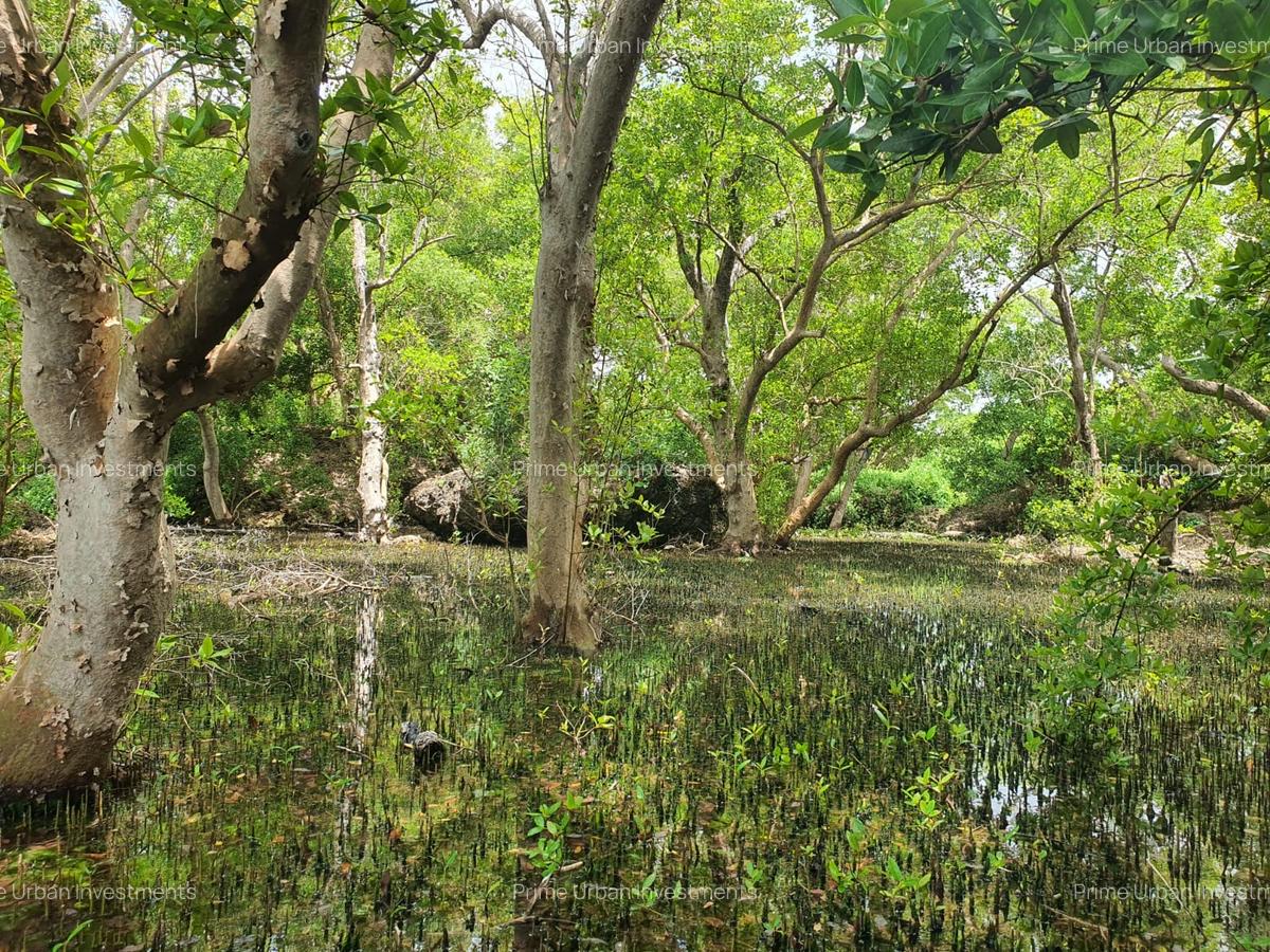 7 ac Land in Watamu - 5