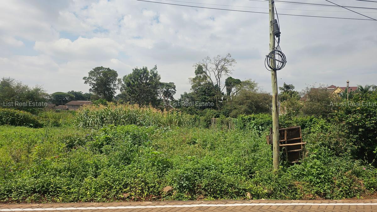 0.365 ac Land at Mushroom Road - 10