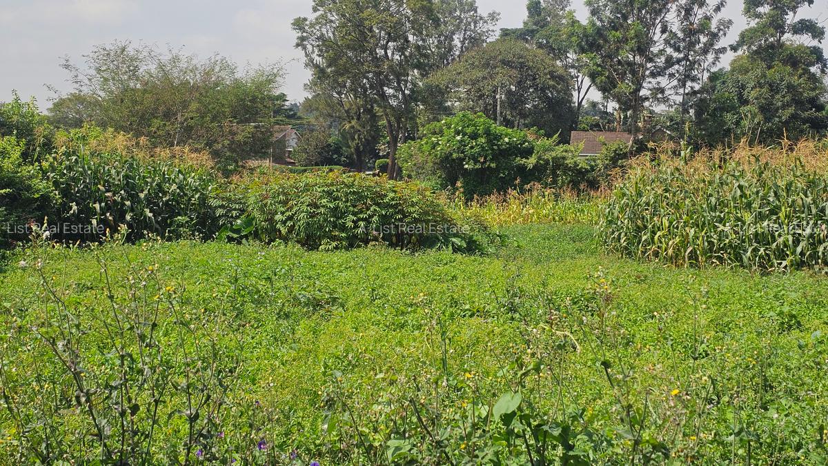 0.365 ac Land at Mushroom Road - 14