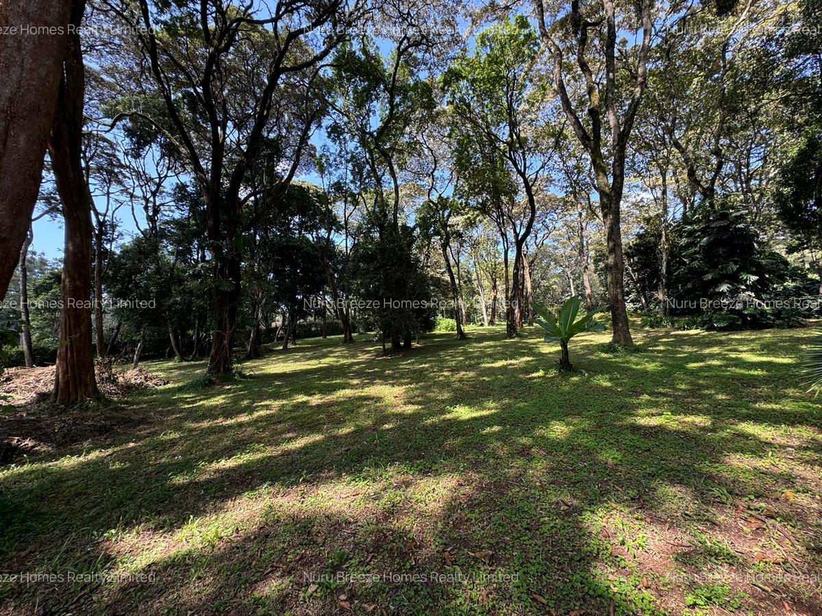 1 ac Land in Karen - 12