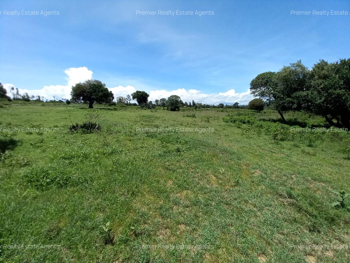5 ac Residential Land at Nanyuki - 1