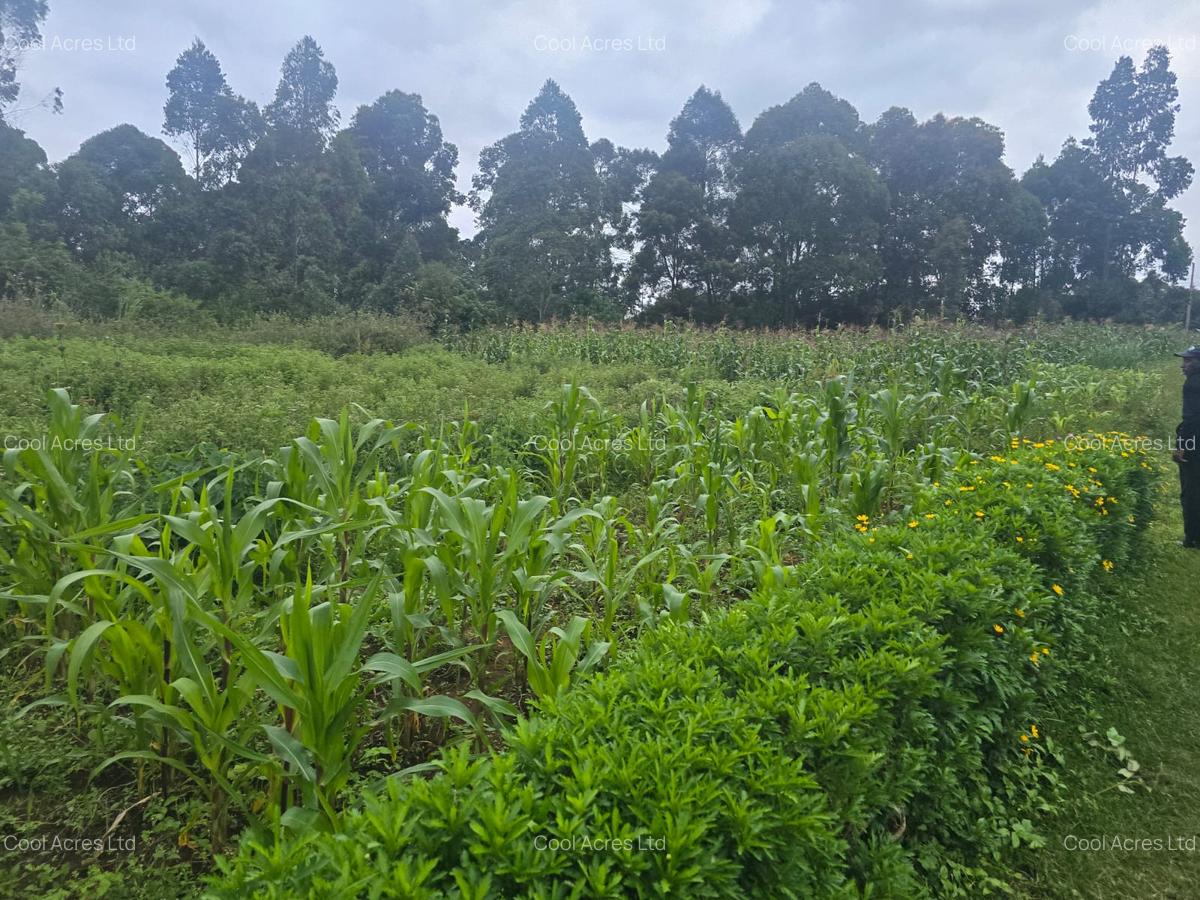 1 ac Land at Gicharani - 10