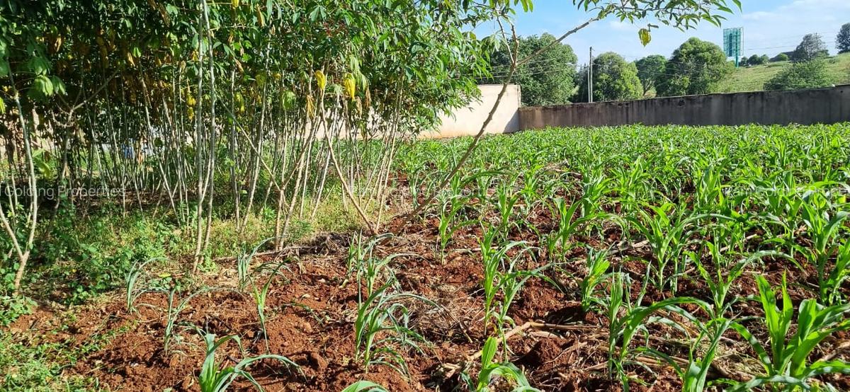 0.5 ac Land in Nyari - 1