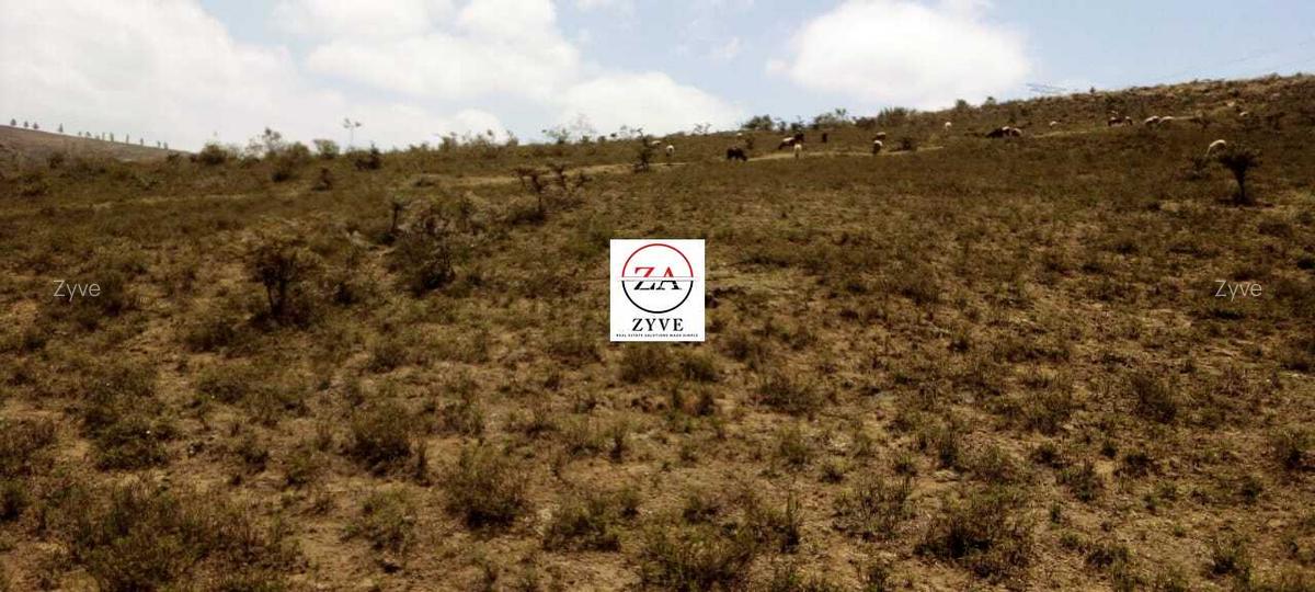 57 ac Land at Edana Road - 3