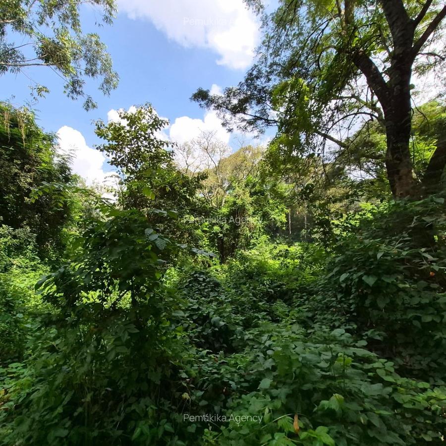 Commercial Land in Kitisuru - 4