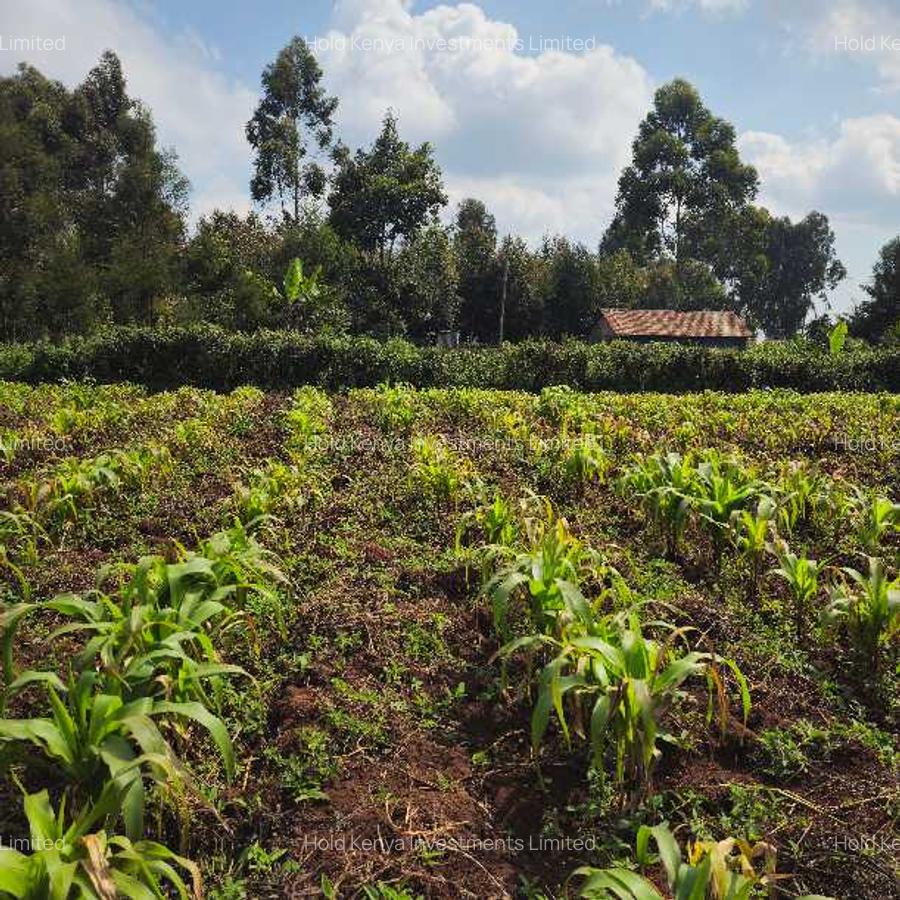 Land at Limuru Road - 8
