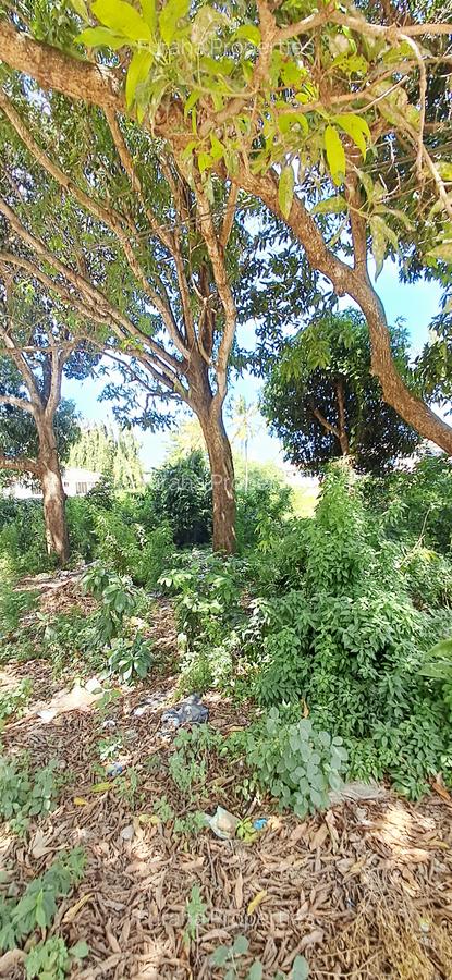 Land at Mtwapa - 12