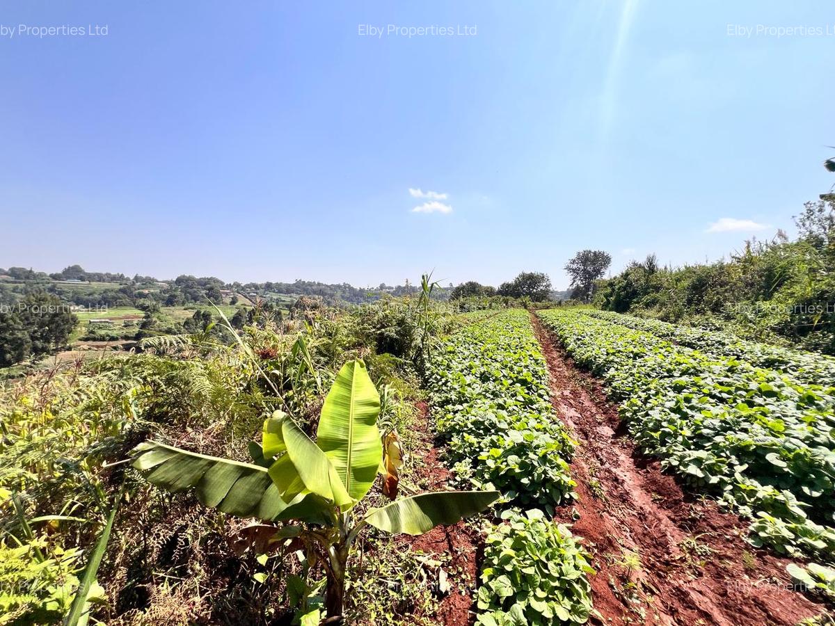 Land in Redhill - 9