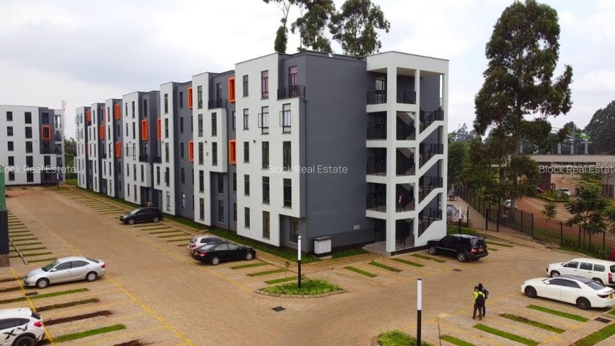 2 Bed Apartment with En Suite in Tigoni - 3