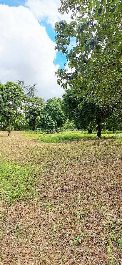Land at Mtwapa - 6