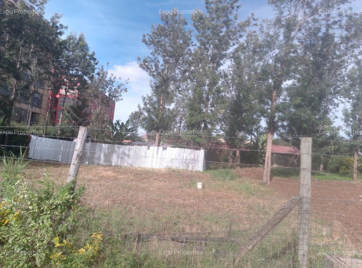 0.25 ac Commercial Land at Maasai Lodge Road - 2