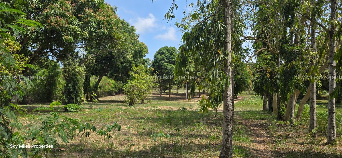 6 ac Land at Mtwapa - 8