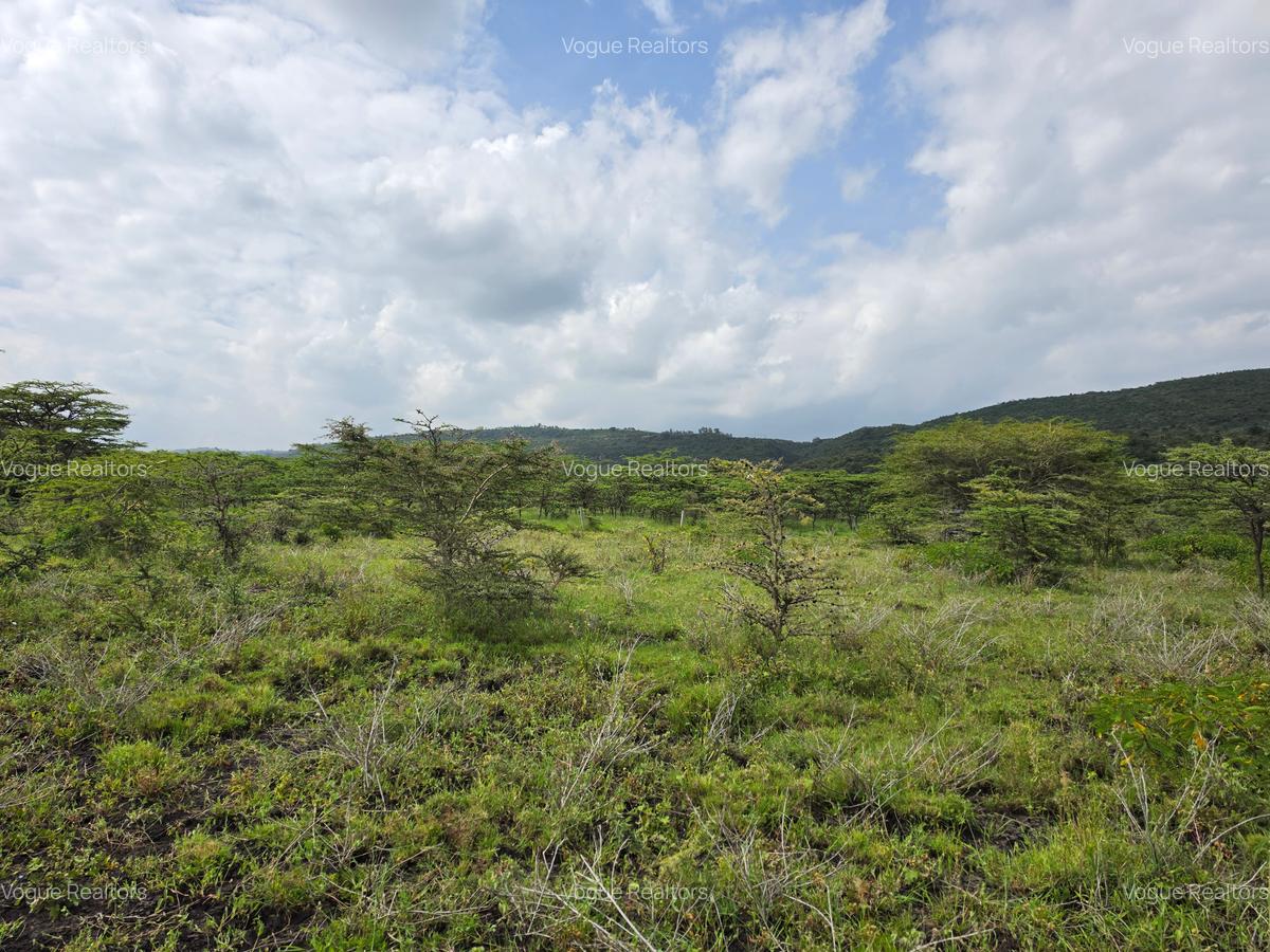0.125 ac Land at Sakuda - 5