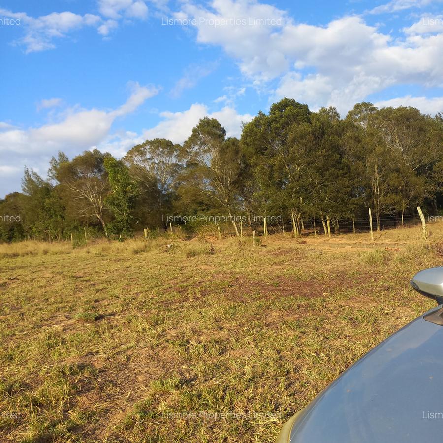 Land in Nyeri - 1
