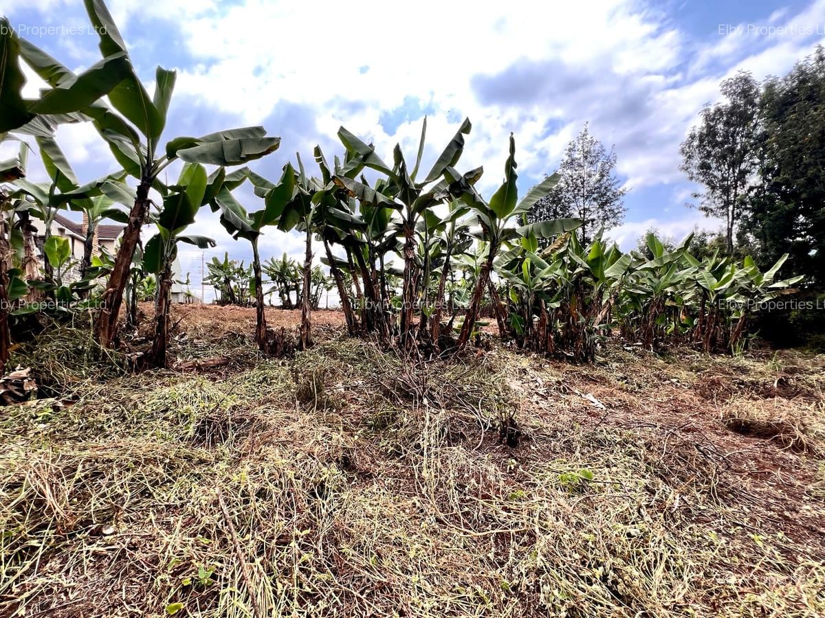 Land in Redhill - 15