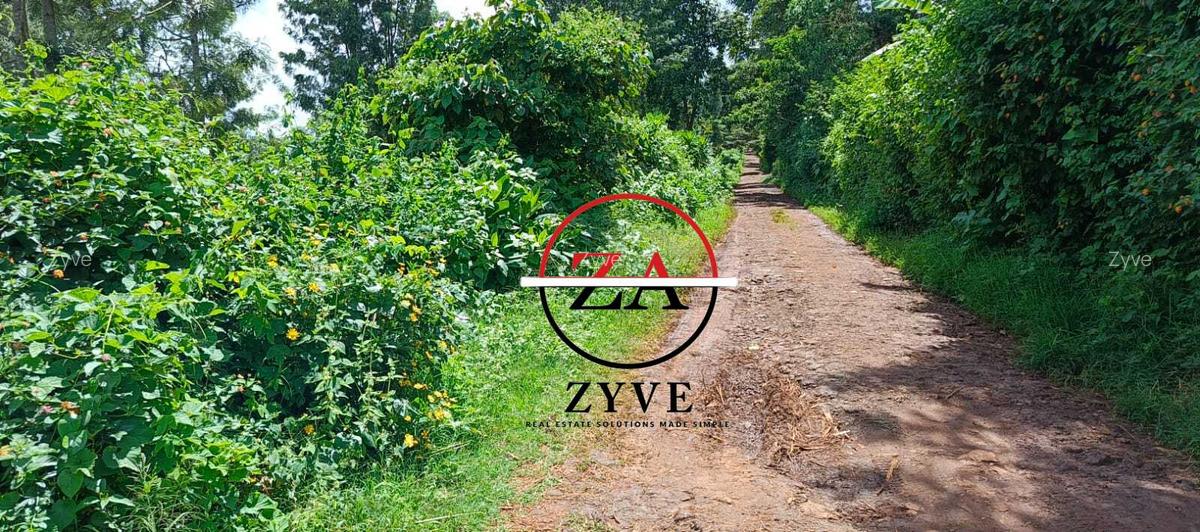 0.125 ac Land at Kanunga Kiambu Road - 1