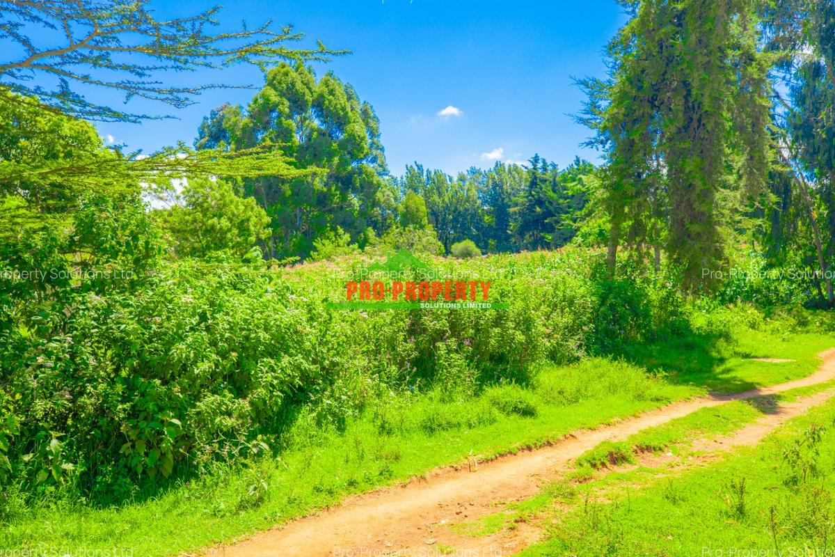 0.2 ha Commercial Land in Ndeiya - 9
