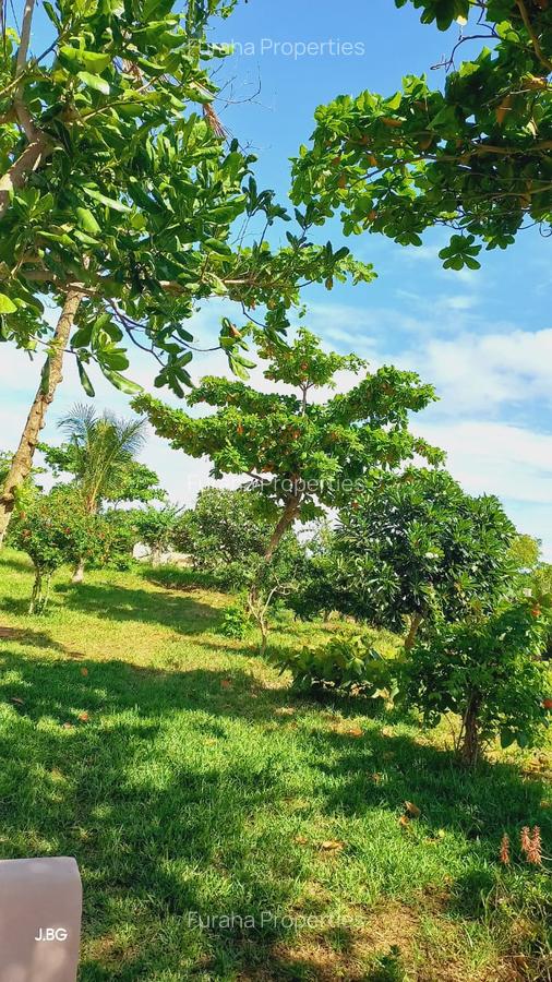Land at Vipingo - 1