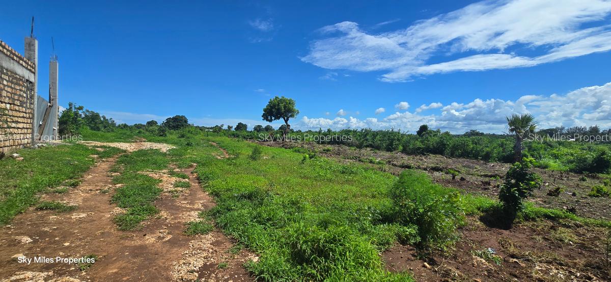 1 ac Land at Vipingo - 9