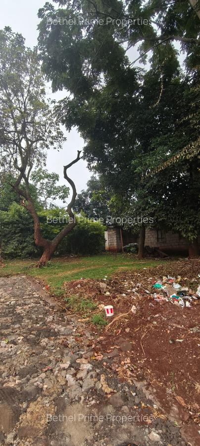 Residential Land in Kitisuru - 3