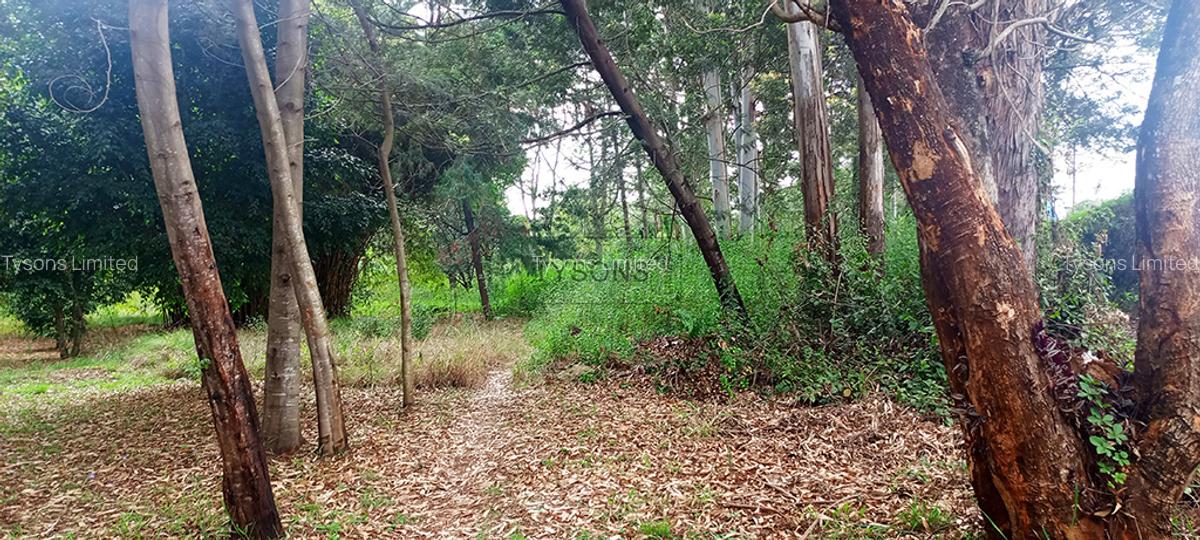 10 ac Land in Karen - 2