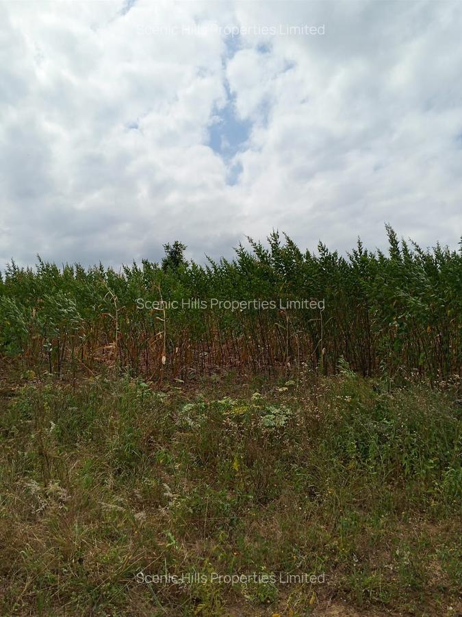 5,000 m² Land at Kilimambogo - 11