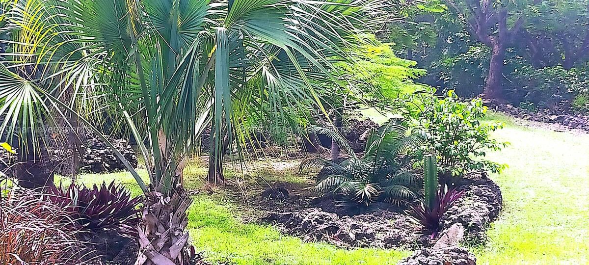 4 Bed House with En Suite at Kuruwitu Beach - 17