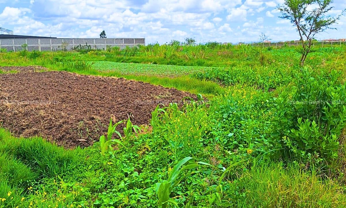 12.5 ac Land at Thika - 2