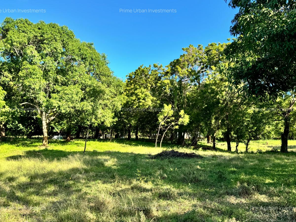 73.6 ac Land at Vipingo Kuruwitu Beach - 9