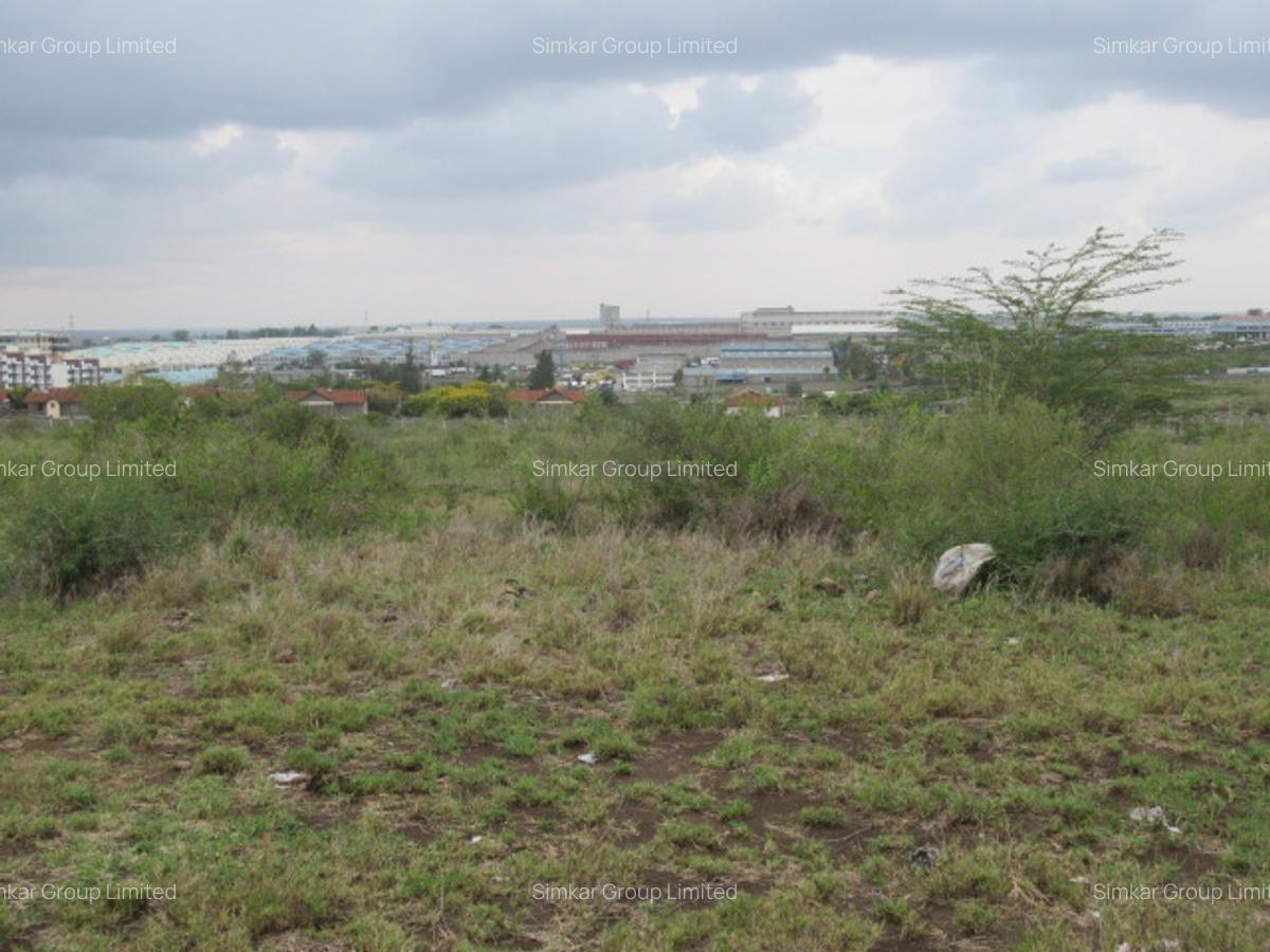10 ac Land at Sabaki Rd - 9