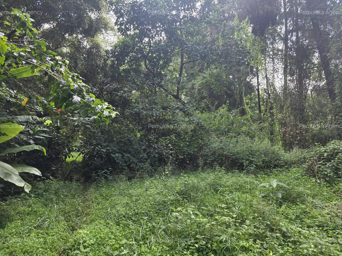 Residential Land in Kitisuru - 5